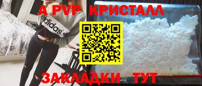 спиды Будённовск
