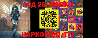 гидропоника Обнинск