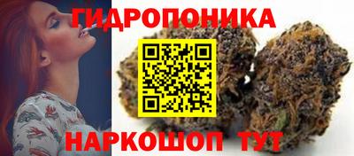 спиды Будённовск