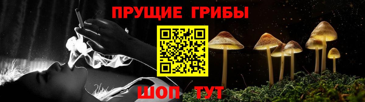 Галлюциногенные грибы GOLDEN TEACHER Ульяновск